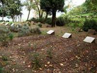 110206-05.jpg