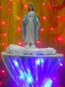 Feast of Our Lady of Rosary in Mangalore