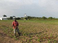 Central African Republic - Bouar