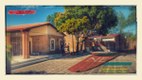 NEF aprile 2017