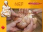 NEF July 2025 NEF July 2025