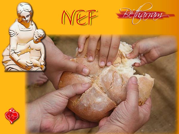 NEF July 2025