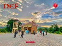 NEF November 2024