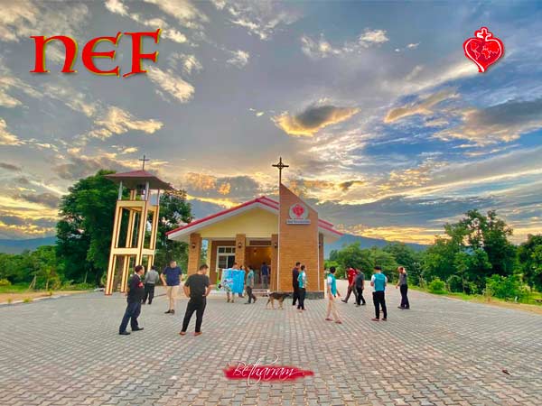 NEF November 2024