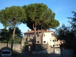 Community of Monteporzio Community of Monteporzio