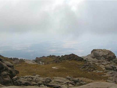 110929-19.jpg 110929-19.jpg