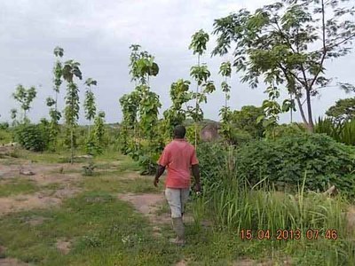 130427-13.jpg 130427-13.jpg