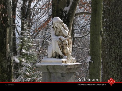 betharram-h-08.jpg betharram-h-08.jpg
