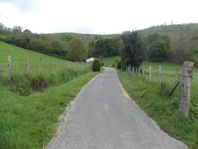 Ibarre