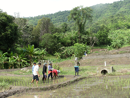 Vida de la Congregación