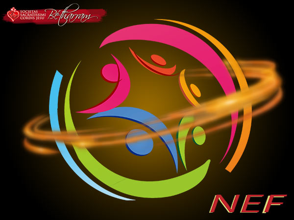 NEF janvier 2020