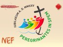 NEF janvier 2025 NEF janvier 2025