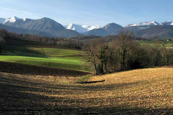 Vallons de l'Arriucourt | Lestelle-Bétharram