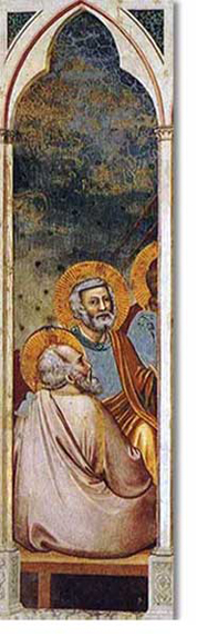 nef-100509.jpg