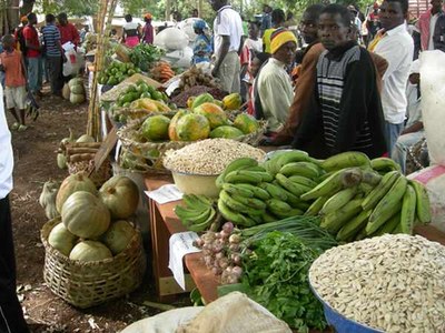 120225-05.jpg 120225-05.jpg