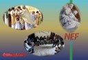 NEF luglio 2022 NEF luglio 2022