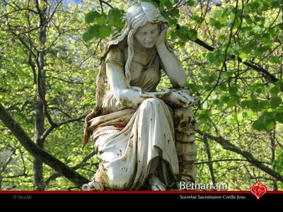 betharram-p-08.jpg betharram-p-08.jpg