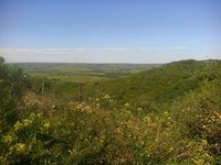 Paesaggio di Tacuarembo