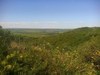 Paesaggio di Tacuarembo